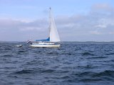 Trosa Segling_04